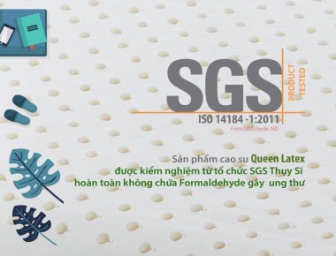 Tại Sao Nên Chọn Mua Nệm Cao Su Có Thương Hiệu