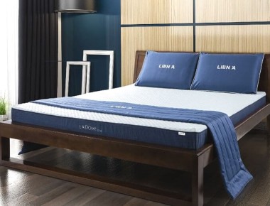 Cửa Hàng Bán Nệm Liên Á Chính Hãng Tại Tân Phú
