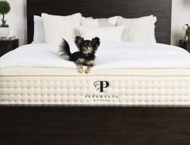 Nệm PlushBeds Botanical Bliss thân thiện với môi trường