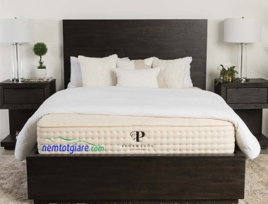 Đánh giá nệm PlushBeds Botanical Bliss Mattress