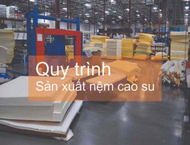 Tìm hiểu quy trình sản xuất của nệm cao su thiên nhiên