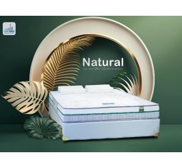 Nệm Cao Su Dầu Cọ Natural