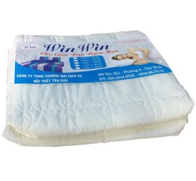 Tấm Bảo Vệ Nệm Win Win