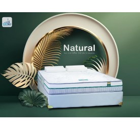 Nệm Cao Su Dầu Cọ Natural